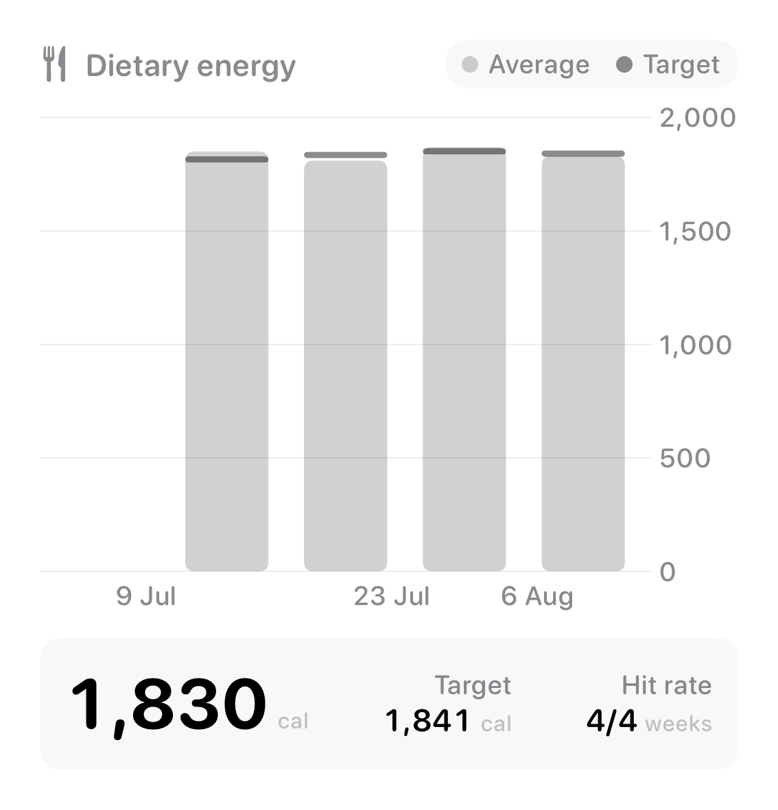 The Intake widget from Burn Rate at Large size in the Grey tint, light appearance.
