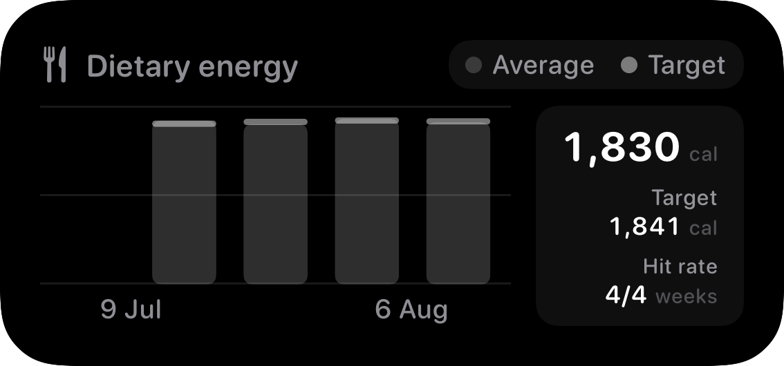 The Intake widget from Burn Rate at Medium size in the Grey tint, dark appearance.