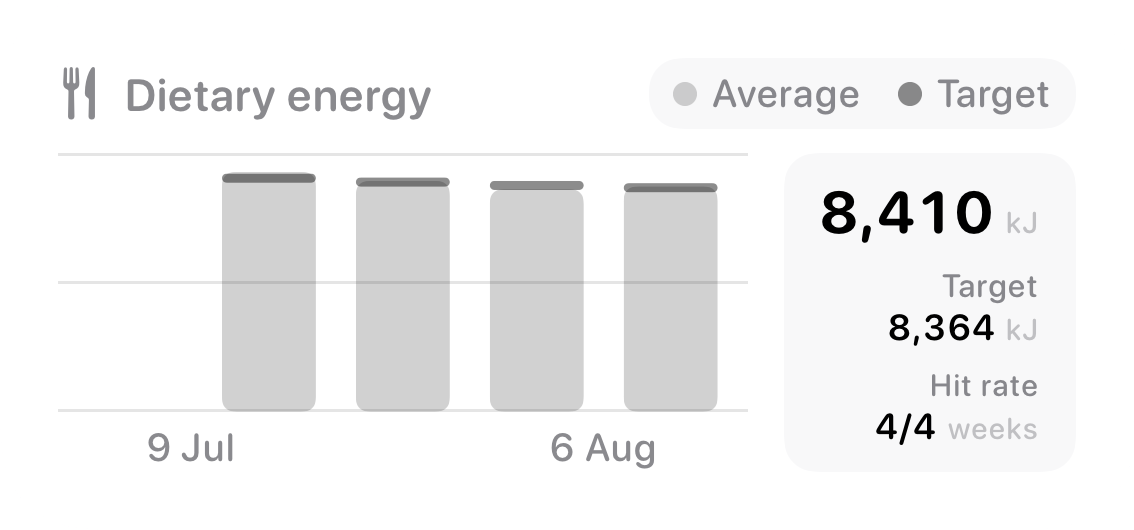 The Intake widget from Burn Rate at Medium size in the Grey tint, light appearance.