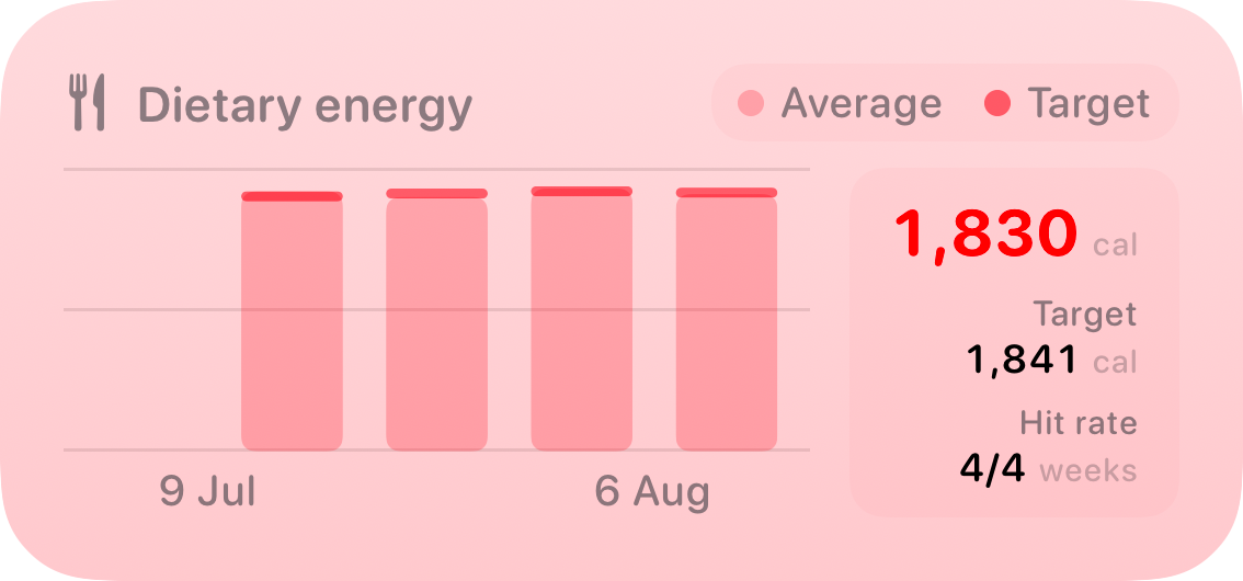 The Intake widget from Burn Rate at Medium size in the Red tint, light appearance.