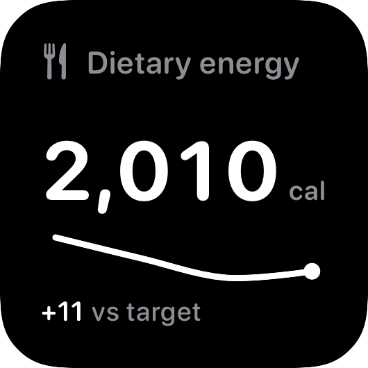 The Intake widget from Burn Rate at Small size in the Grey tint, dark appearance.