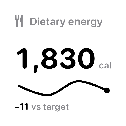 The Intake widget from Burn Rate at Small size in the Grey tint, light appearance.