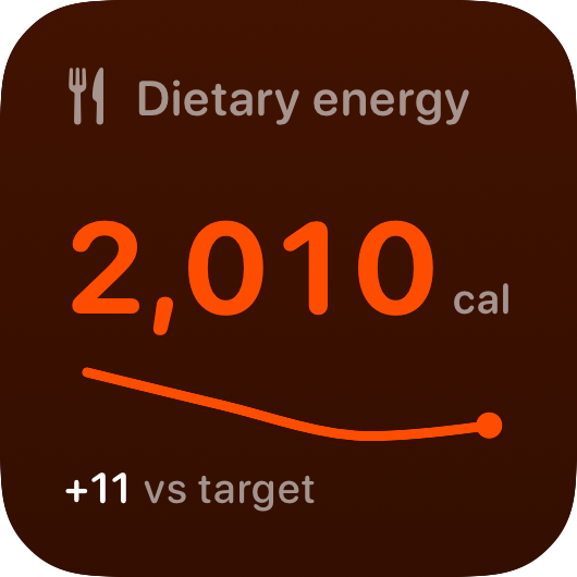The Intake widget from Burn Rate at Small size in the Orange tint, dark appearance.