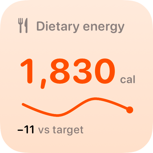 The Intake widget from Burn Rate at Small size in the Orange tint, light appearance.