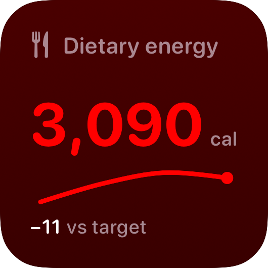 The Intake widget from Burn Rate at Small size in the Red tint, dark appearance.