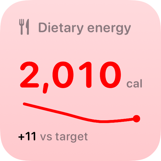 The Intake widget from Burn Rate at Small size in the Red tint, light appearance.