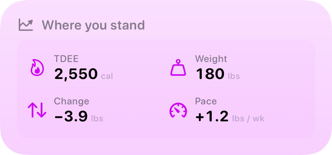 The Stand widget from Burn Rate at Medium size in the Purple tint, light appearance.