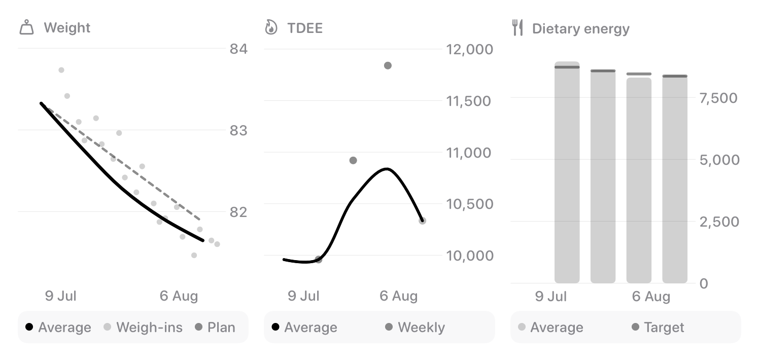 The Trends widget from Burn Rate at Extra Large size in the Grey tint, light appearance.