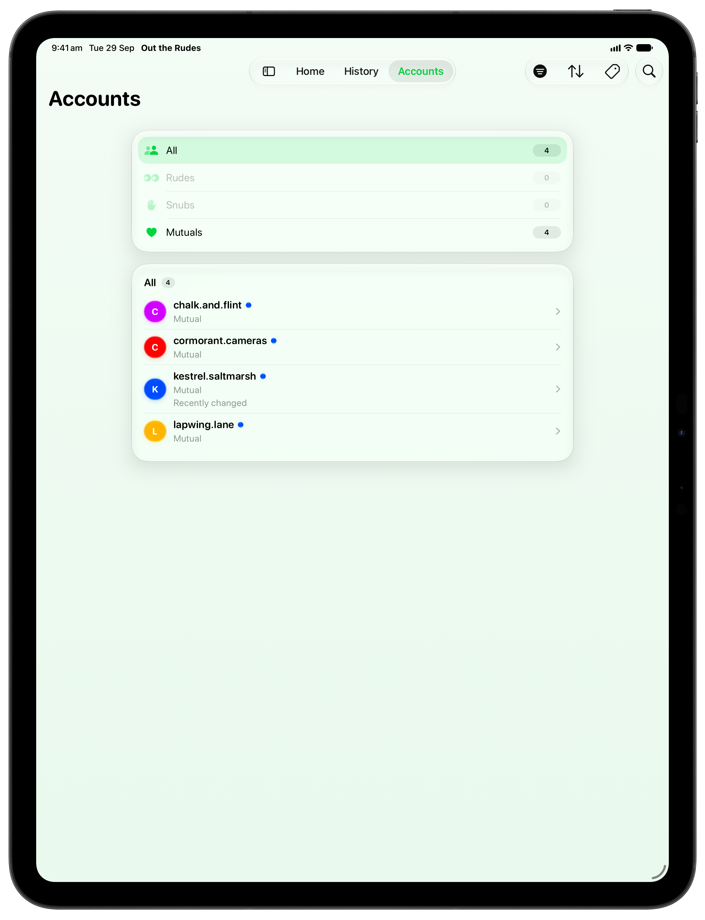 Out the Rudes on iPad Pro 13-inch showing Tags in the Green tint, light appearance.