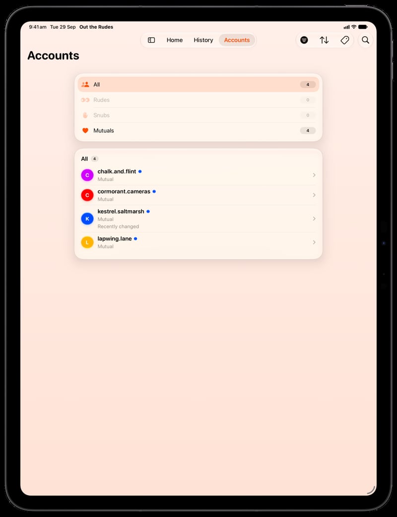Out the Rudes on iPad Pro 13-inch showing Tags in the Orange tint, light appearance.