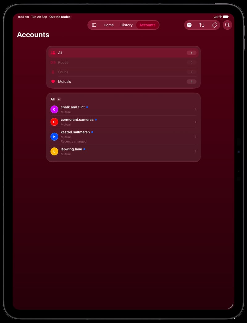 Out the Rudes on iPad Pro 13-inch showing Tags in the Pink tint, dark appearance.
