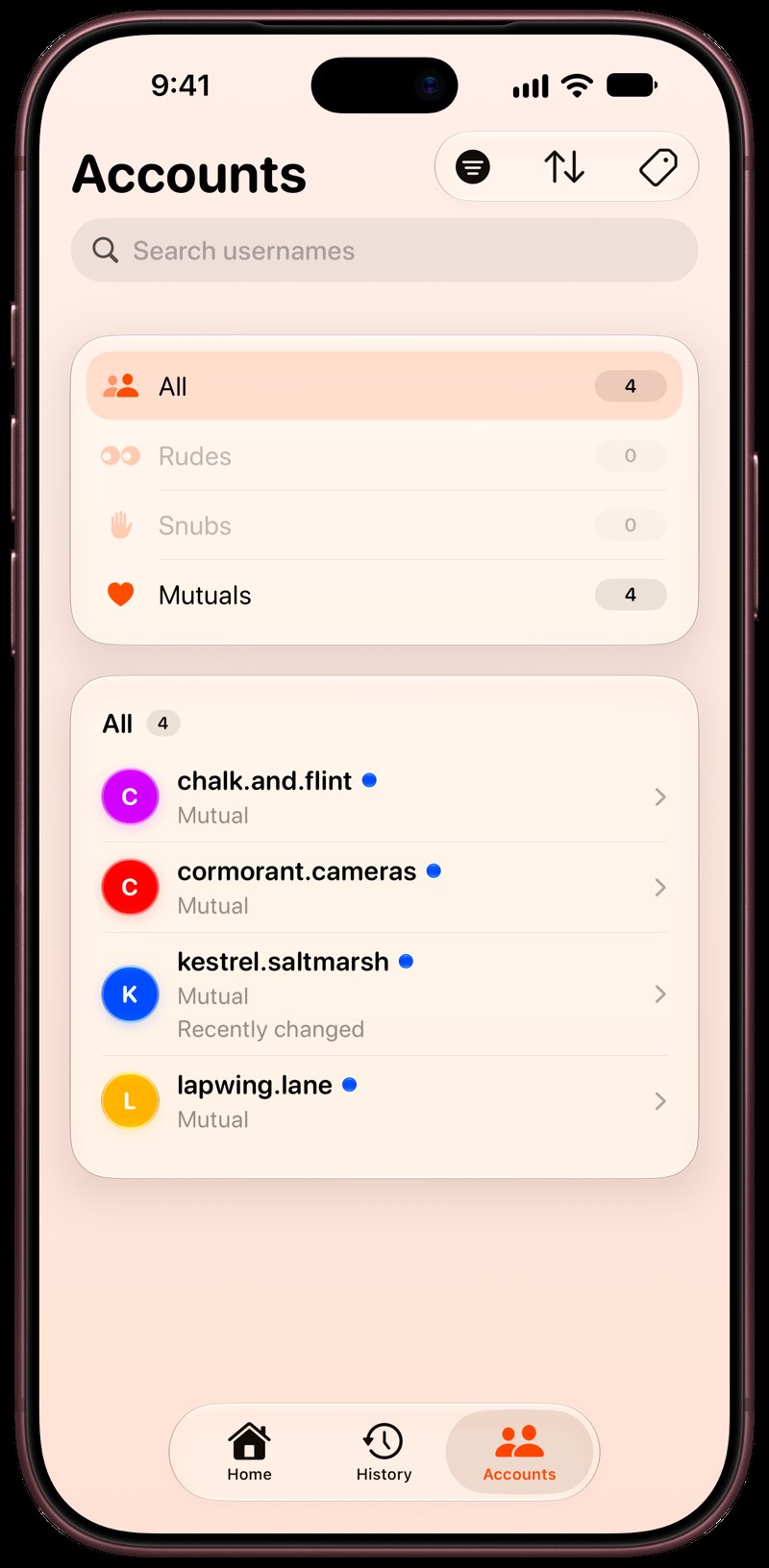 Out the Rudes on iPhone 18 Pro Max showing Tags in the Orange tint, light appearance.