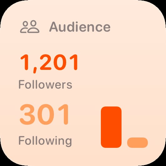The Audience widget from Out the Rudes at Small size in the Orange tint, light appearance.